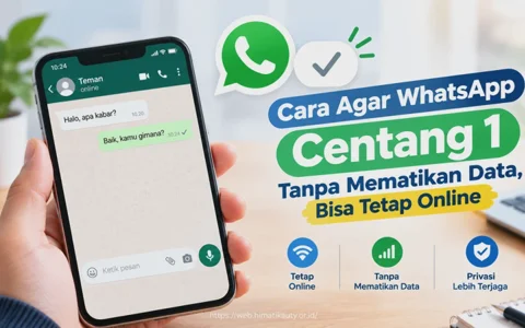 Cara Agar WhatsApp Centang 1 Tanpa Mematikan Data, Bisa Tetap Online
